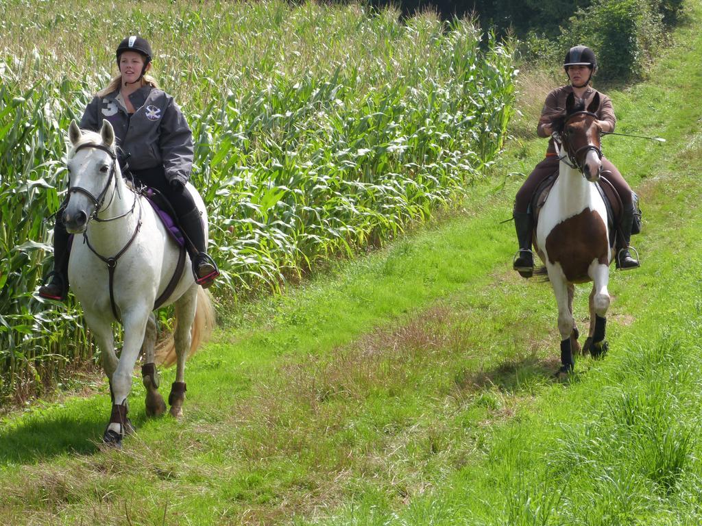 Gite Et Relais Equestre De Marie Tours-en-Vimeu Buitenkant foto