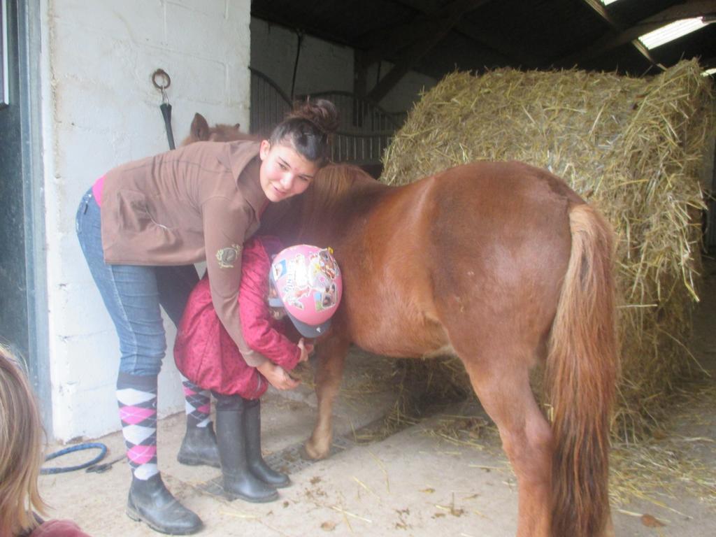 Gite Et Relais Equestre De Marie Tours-en-Vimeu Buitenkant foto