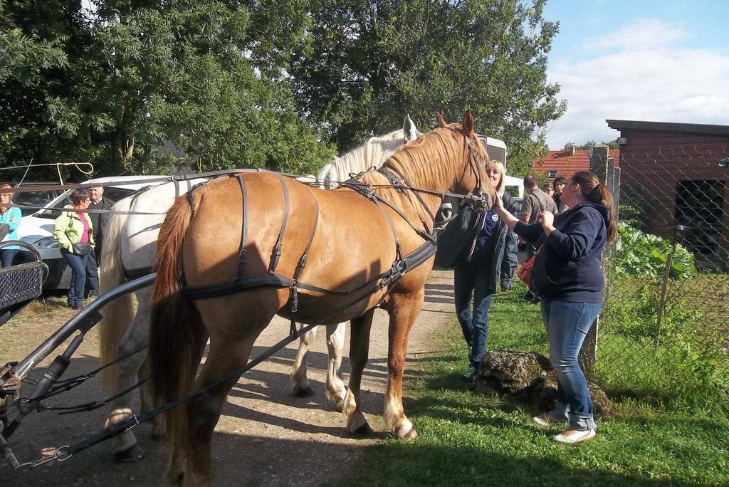 Gite Et Relais Equestre De Marie Tours-en-Vimeu Kamer foto