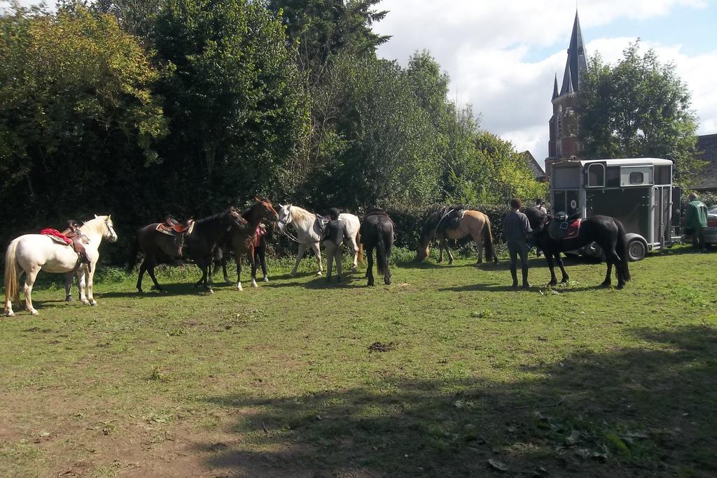 Gite Et Relais Equestre De Marie Tours-en-Vimeu Buitenkant foto