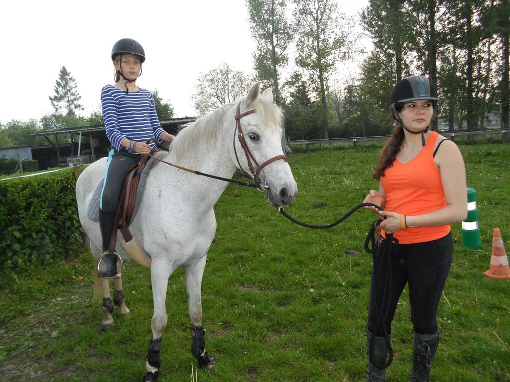Gite Et Relais Equestre De Marie Tours-en-Vimeu Kamer foto