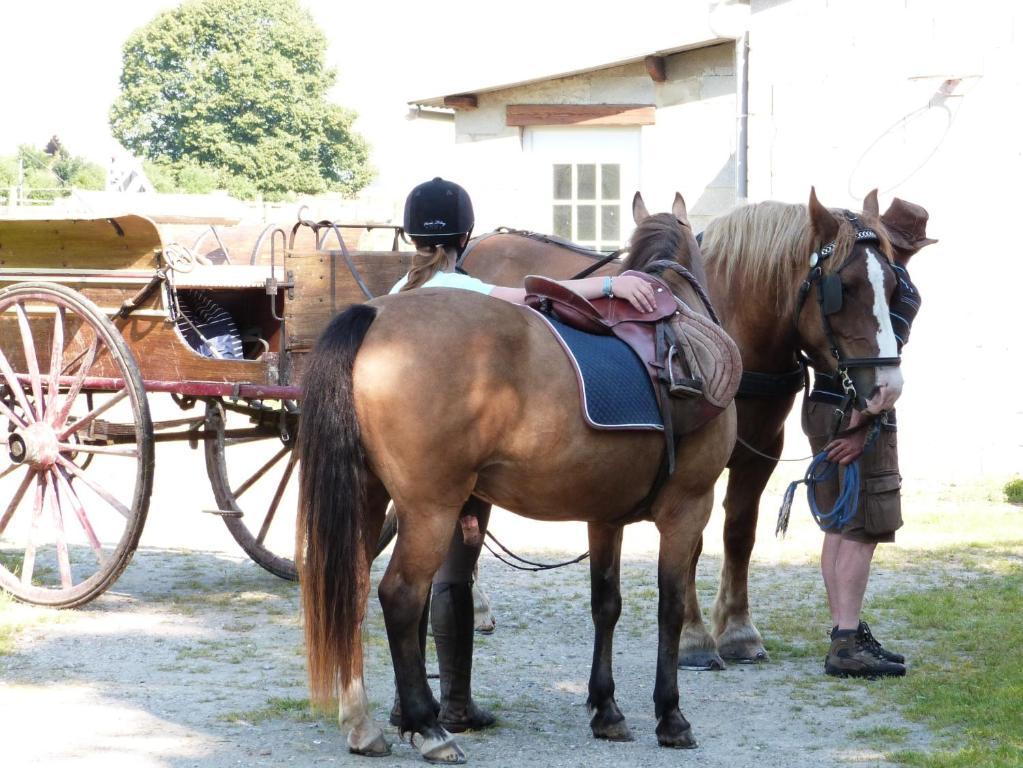 Gite Et Relais Equestre De Marie Tours-en-Vimeu Kamer foto